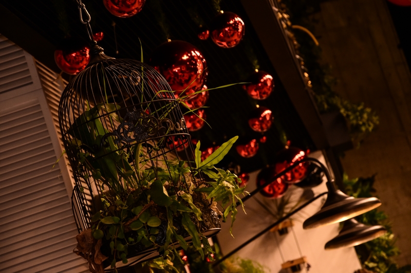 Kitchen Yard on Saturday Night